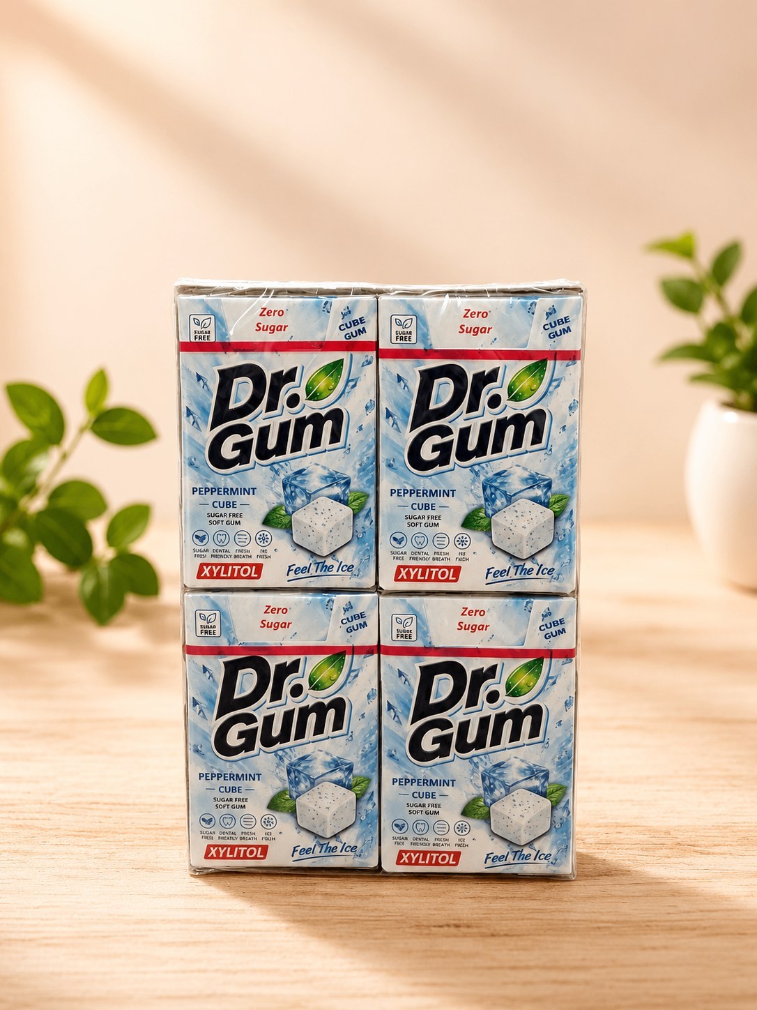 آدامس جعبه ای بدون قند Dr.Gum با طعم نعنا یخ (باکس 16 بسته ای)